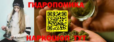 шишки Апшеронск