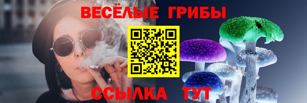 Галлюциногенные грибы Psilocybe Белая Калитва